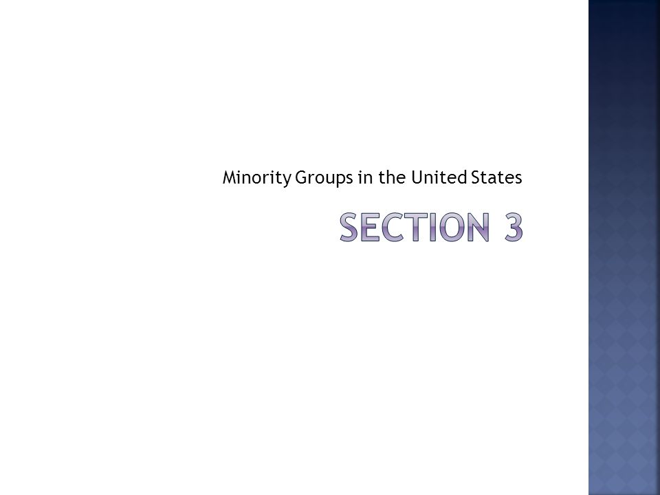 Minority Groups in the United States