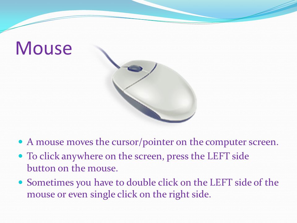 Mouse A mouse moves the cursor/pointer on the computer screen.