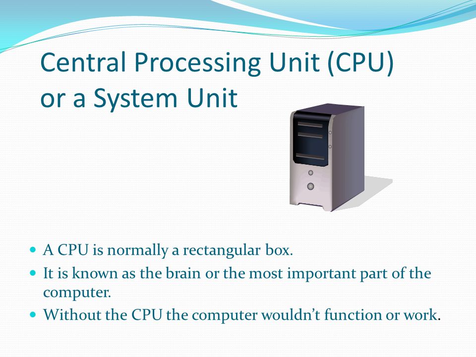 Central Processing Unit (CPU) or a System Unit A CPU is normally a rectangular box.
