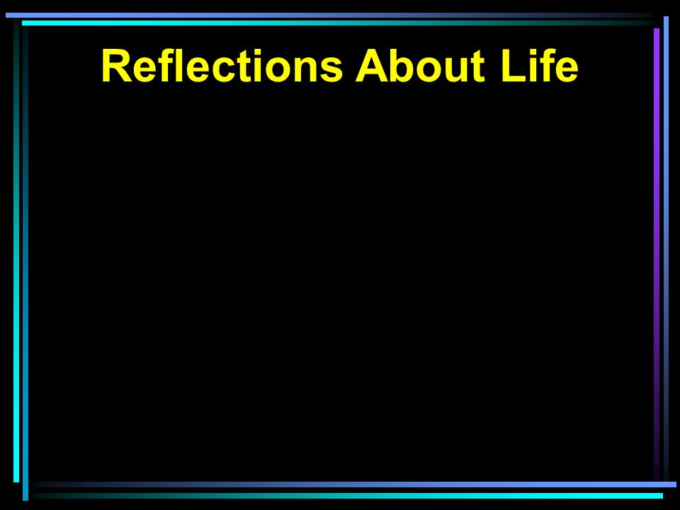 Reflections About Life