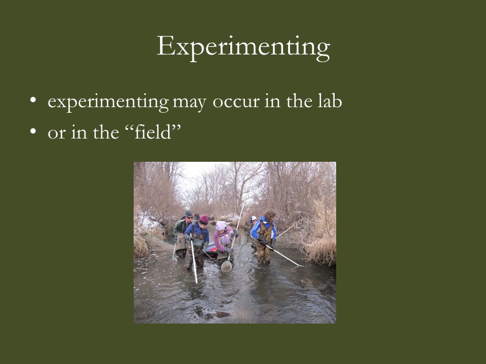 Experimenting experimenting may occur in the lab or in the field