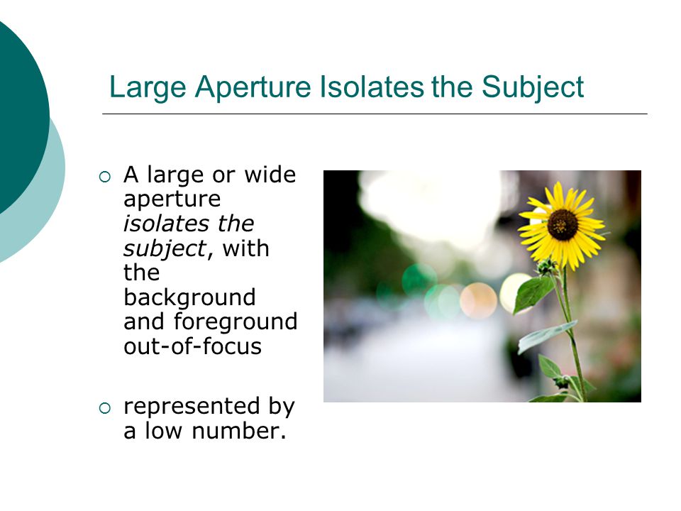 Large Aperture Isolates the Subject  A large or wide aperture isolates the subject, with the background and foreground out-of-focus  represented by a low number.
