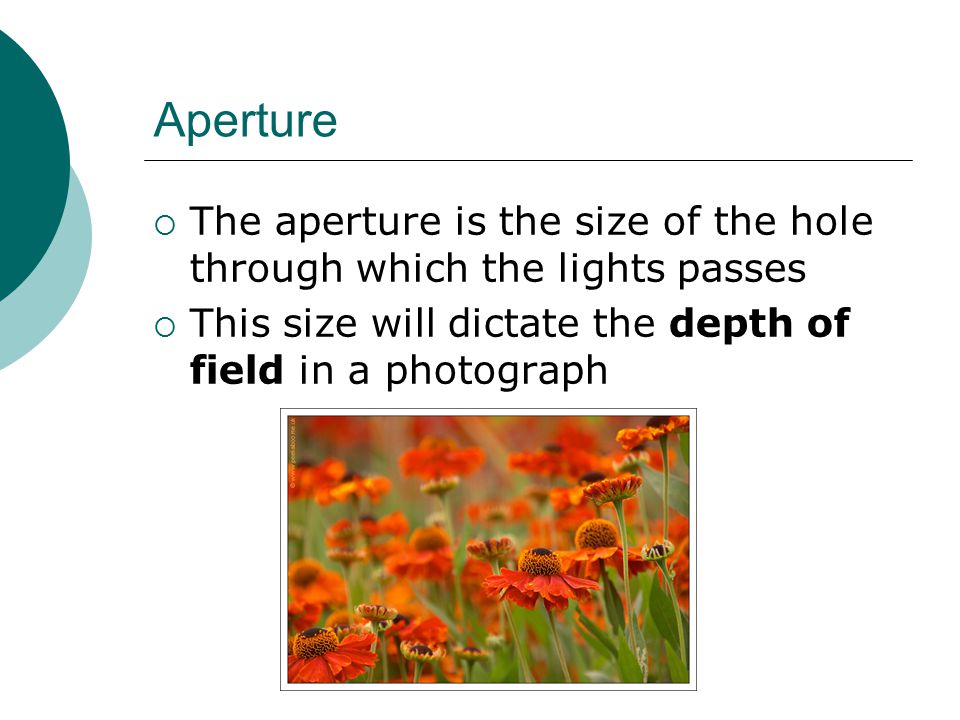 Aperture  The aperture is the size of the hole through which the lights passes  This size will dictate the depth of field in a photograph