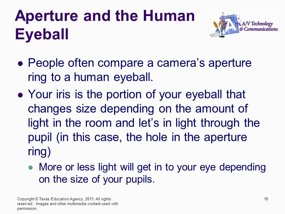 Aperture and the Human Eyeball People often compare a camera’s aperture ring to a human eyeball.