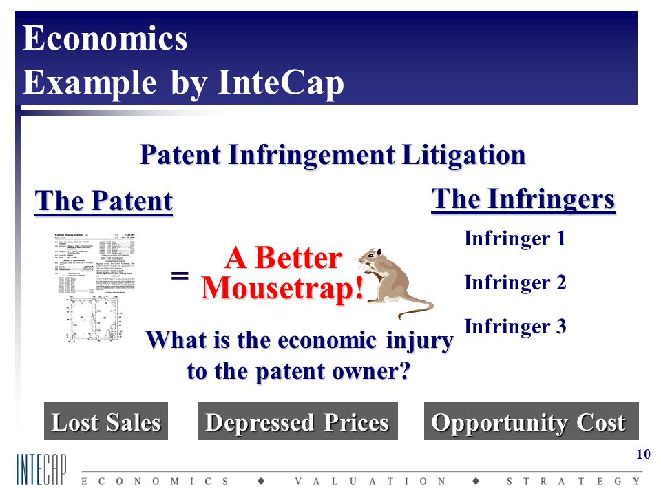 10 Patent Infringement Litigation The Patent What is the economic injury to the patent owner.