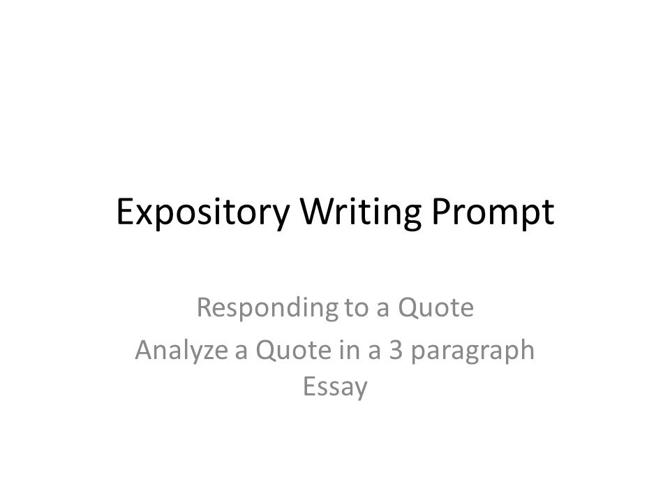 argumentative essay prompt