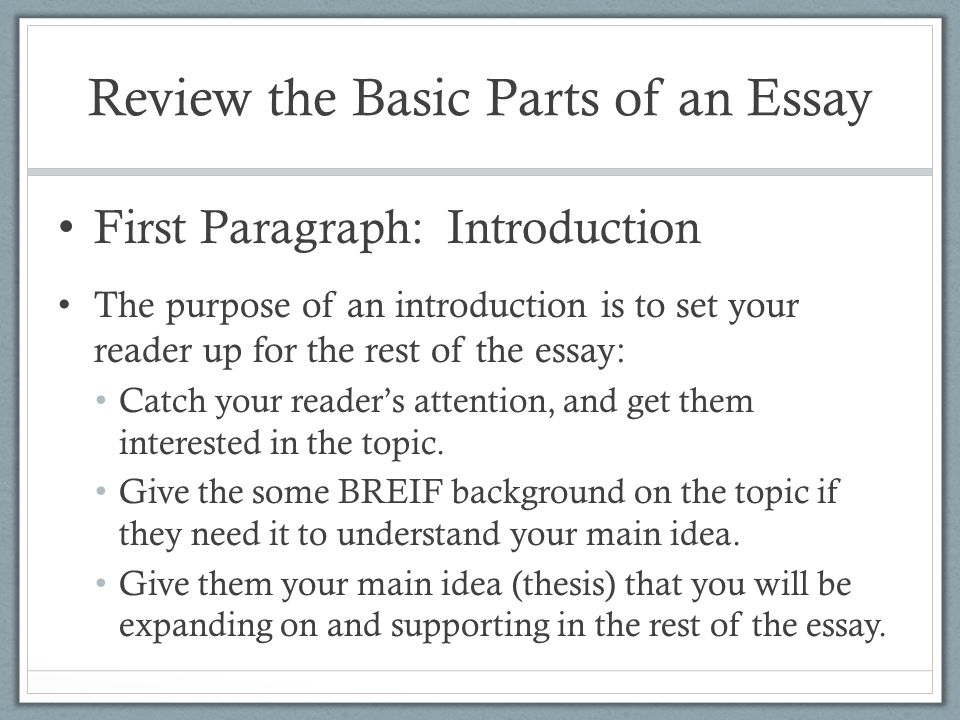 Introduction To A Reflective Essay