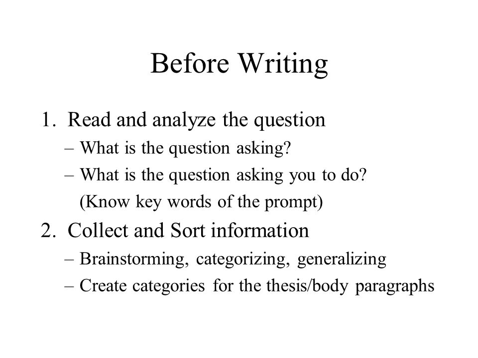 essay about sports