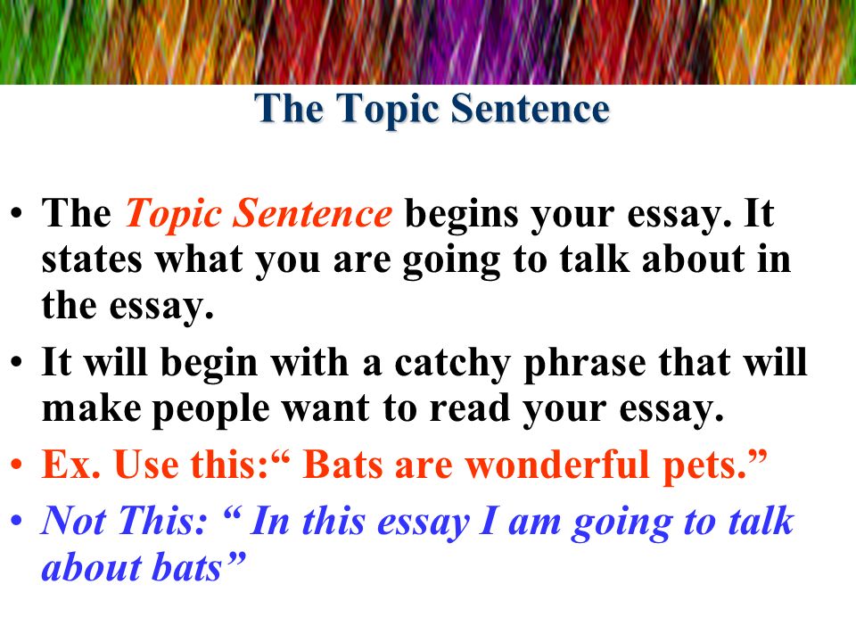 great opening sentences for essays great opening sentences for essays