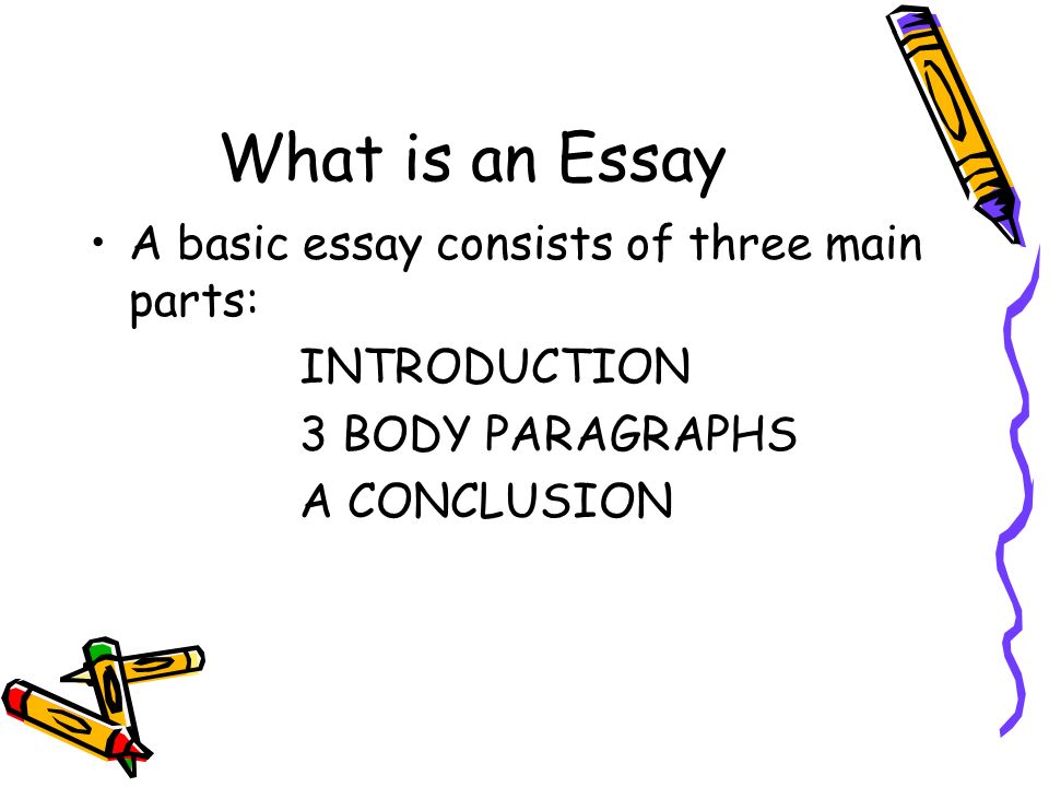 What is an Essay A basic essay consists of three main parts: INTRODUCTION 3 BODY PARAGRAPHS A CONCLUSION