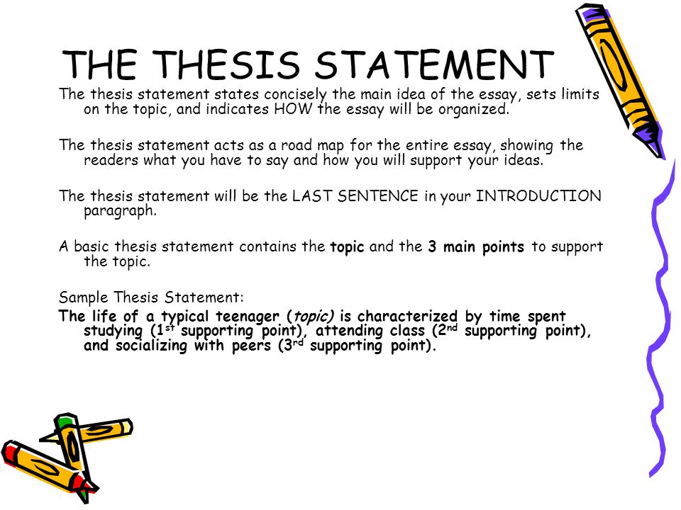 THE THESIS STATEMENT The thesis statement states concisely the main idea of the essay, sets limits on the topic, and indicates HOW the essay will be organized.