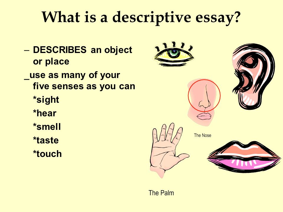 Descriptive essay any object