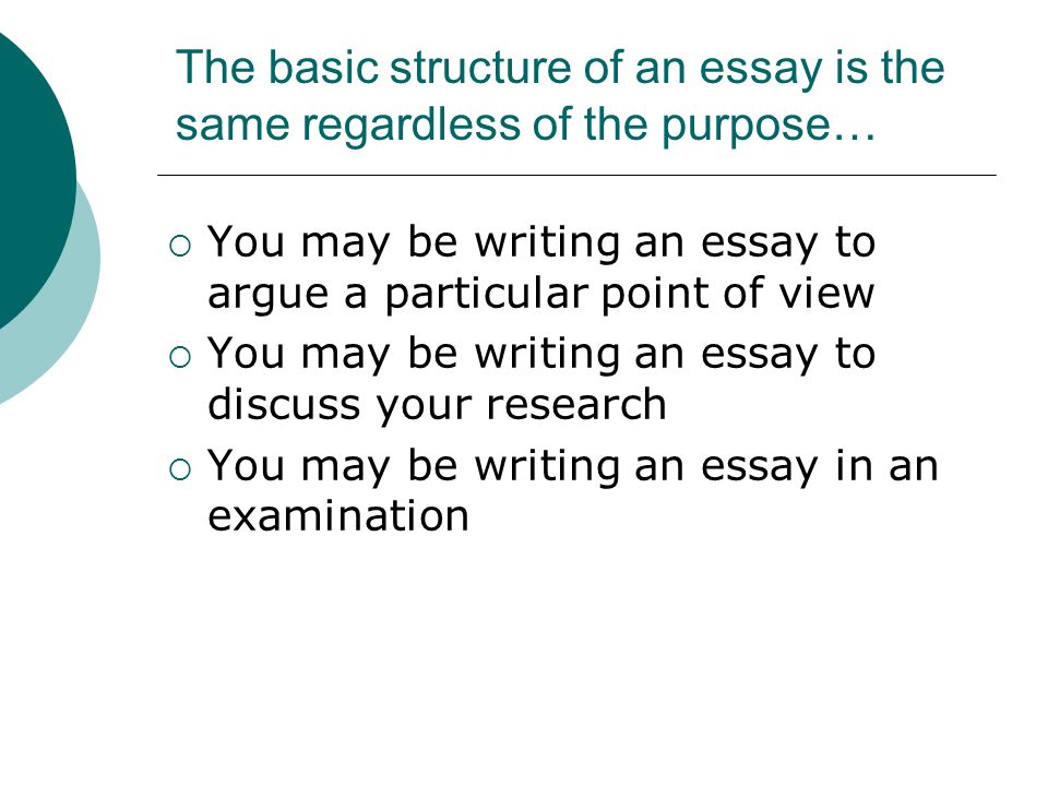 an essay i wrote an essay i wrote