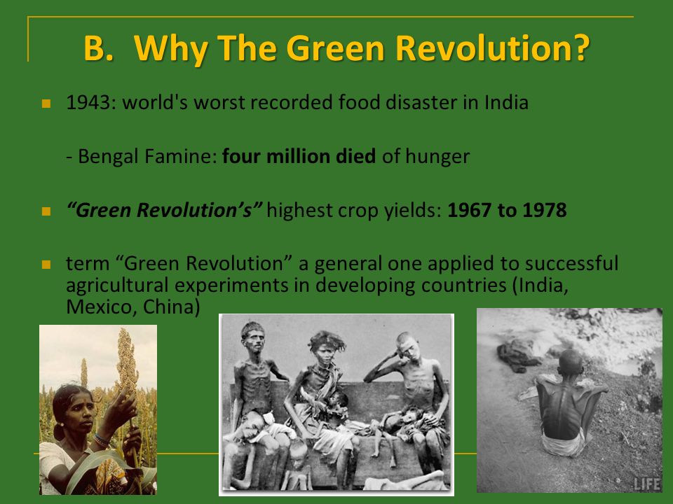 3. The Green Revolution (1940’s-1980’s): 3.