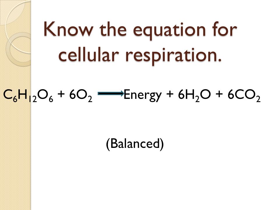 Balanced Chemical Equation For Cell Respiration Tessshlo The Equation For Cellular Respiration In Words Talkchannels