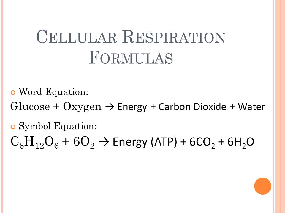 What Is The Equation For Glucose Talkchannels Chemical Equation For Glucose Talkchannels
