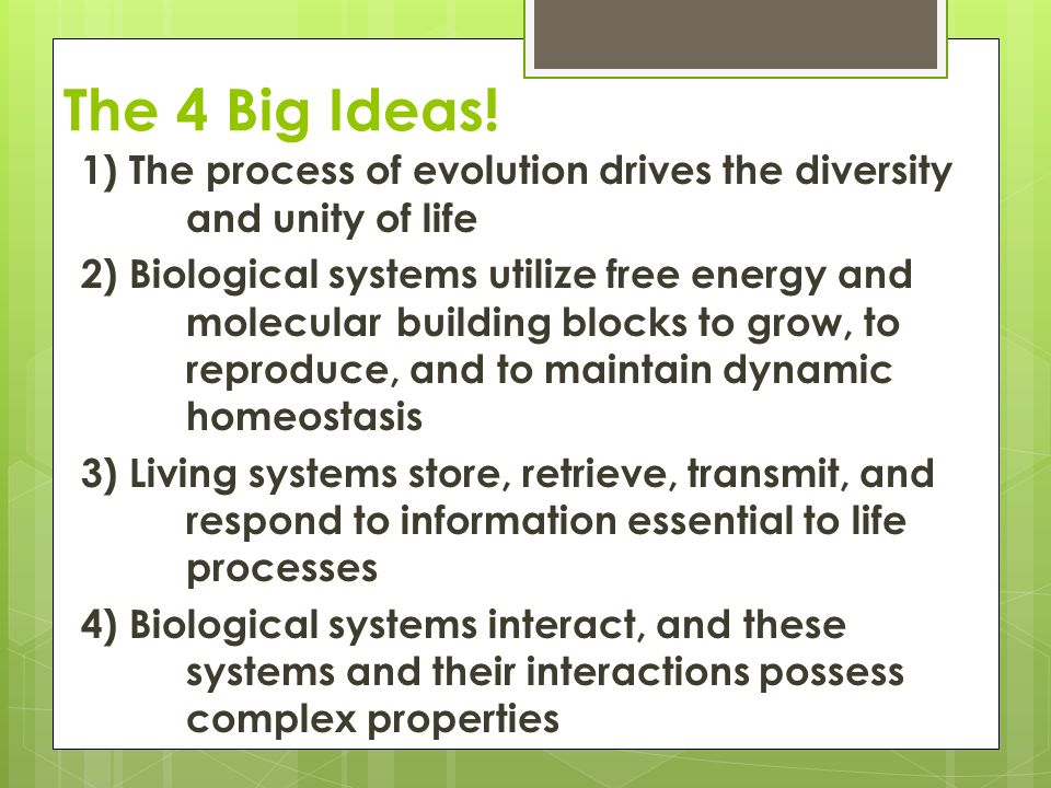 biology essay answers Spm biology essays collection - free download as word doc (doc / docx), pdf file (pdf) or read online for free. biology essay answers Spm biology essays collection - free download as word doc (doc / docx), pdf file (pdf) or read online for free.