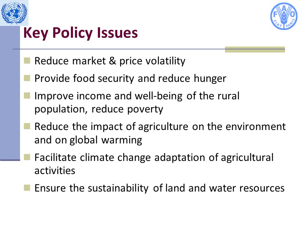 Key Policy Issues Reduce market & price volatility Provide food security and reduce hunger Improve income and well-being of the rural population, reduce poverty Reduce the impact of agriculture on the environment and on global warming Facilitate climate change adaptation of agricultural activities Ensure the sustainability of land and water resources