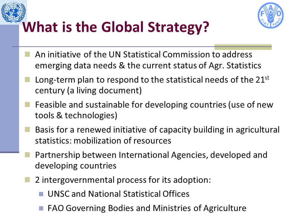 What is the Global Strategy.