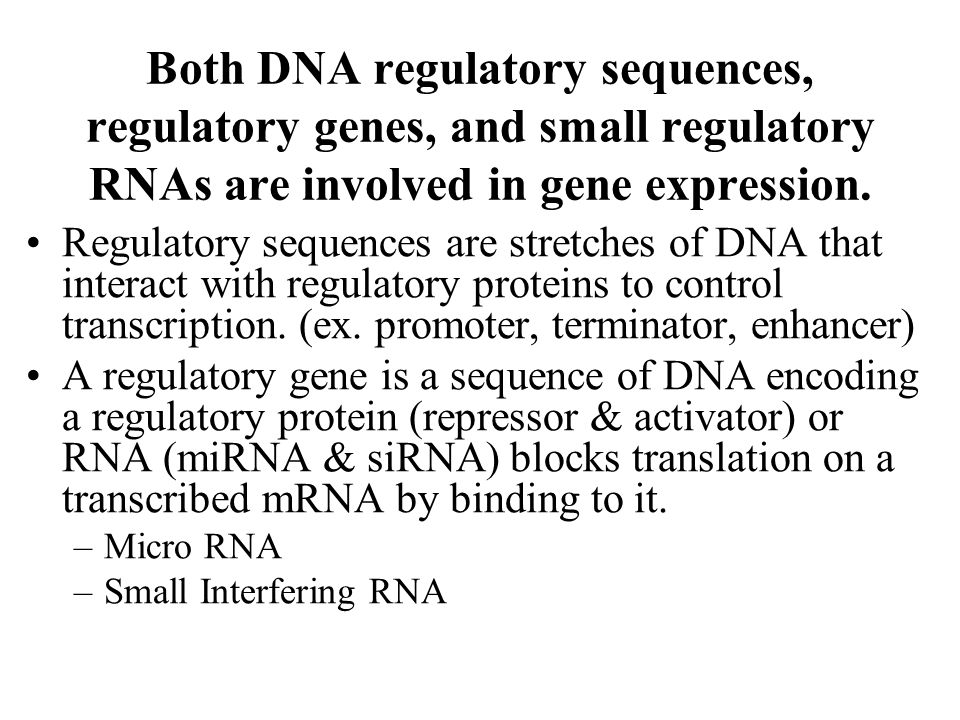Gene expression/cell differentiation & dna fingerprinting essay