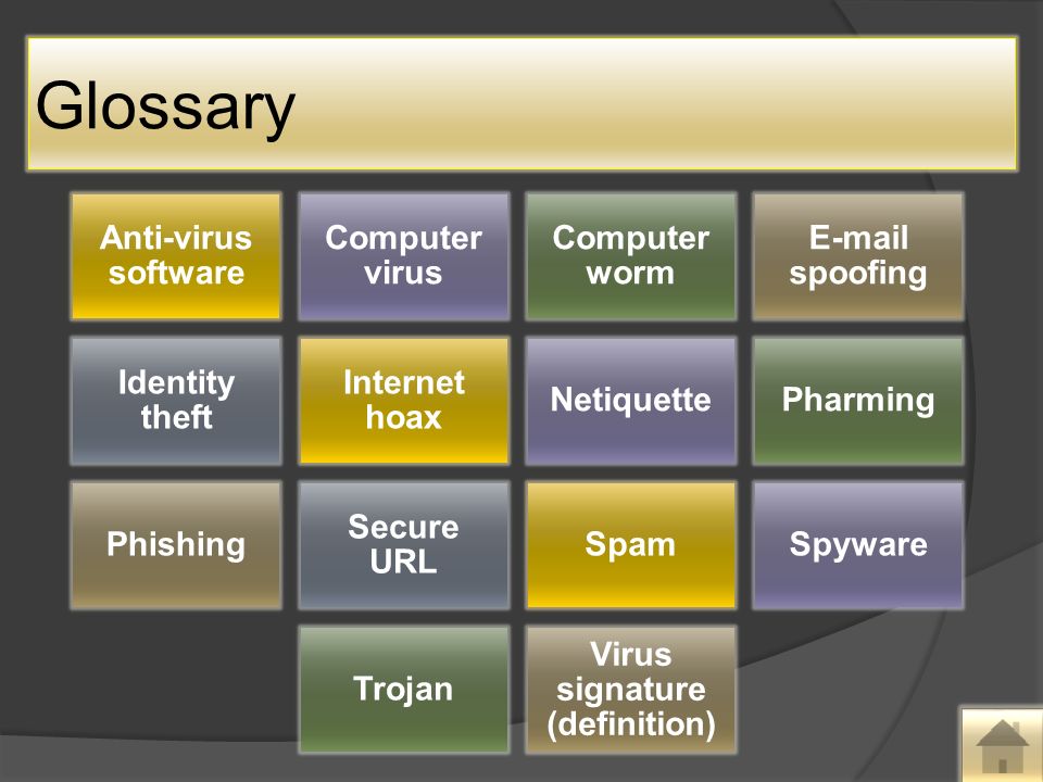 Glossary Anti-virus software Computer virus Computer worm  spoofing Identity theft Internet hoax NetiquettePharming Phishing Secure URL SpamSpyware Trojan Virus signature (definition)