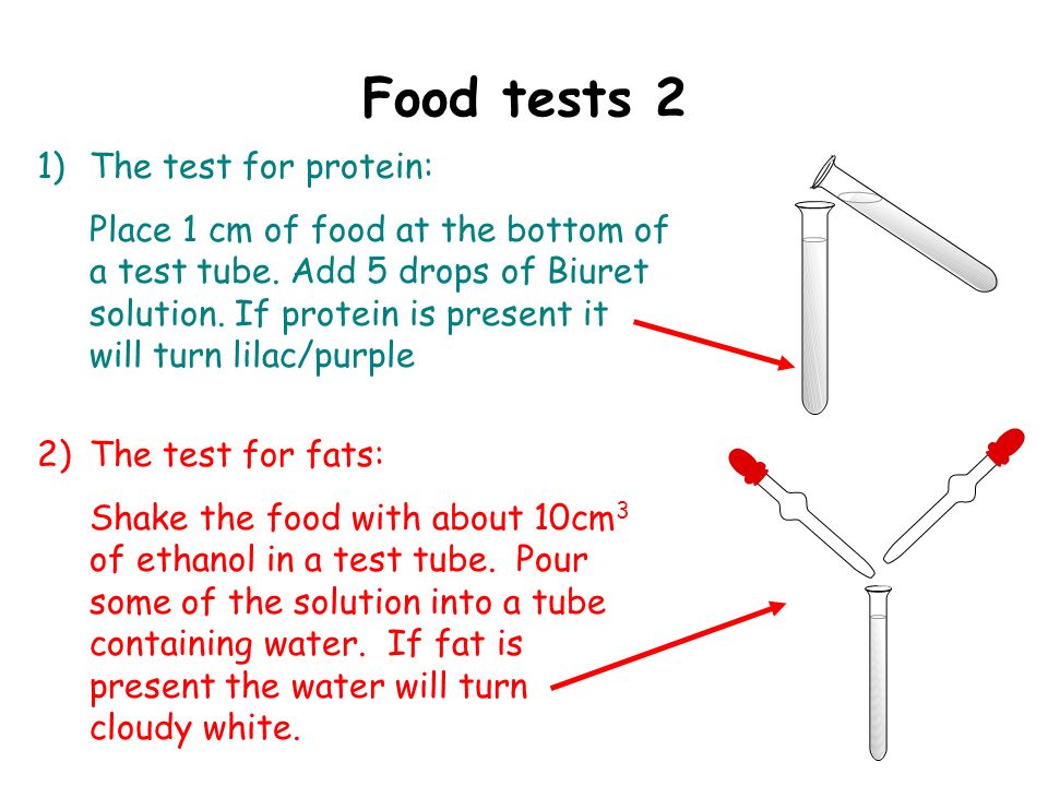 Food tests 2 1)The test for protein: Place 1 cm of food at the bottom of a test tube.