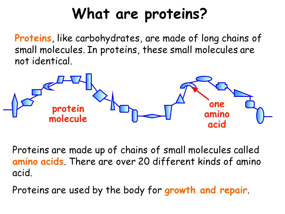 Proteins, like carbohydrates, are made of long chains of small molecules.