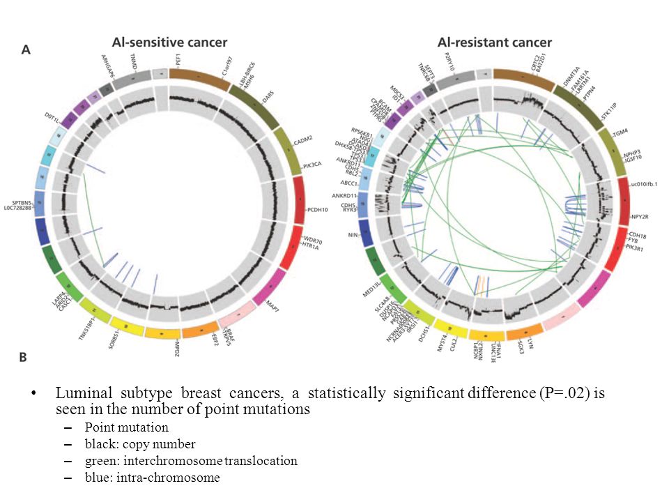 Luminal subtype breast cancers, a statistically significant difference (P=.02) is seen in the number of point mutations – Point mutation – black: copy number – green: interchromosome translocation – blue: intra-chromosome