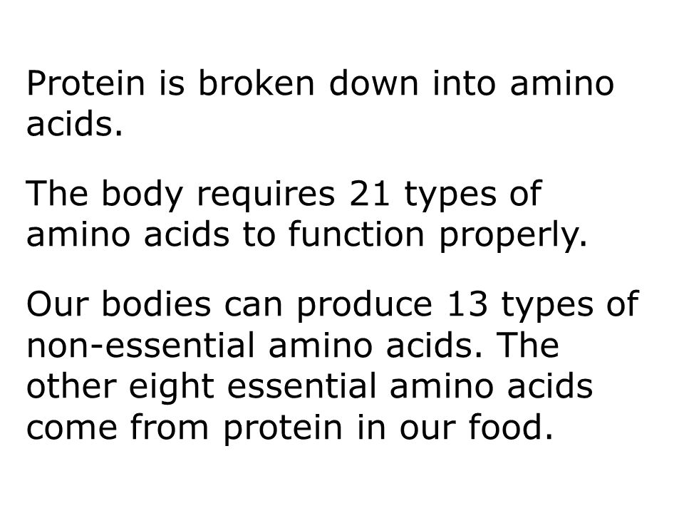 Protein is broken down into amino acids.