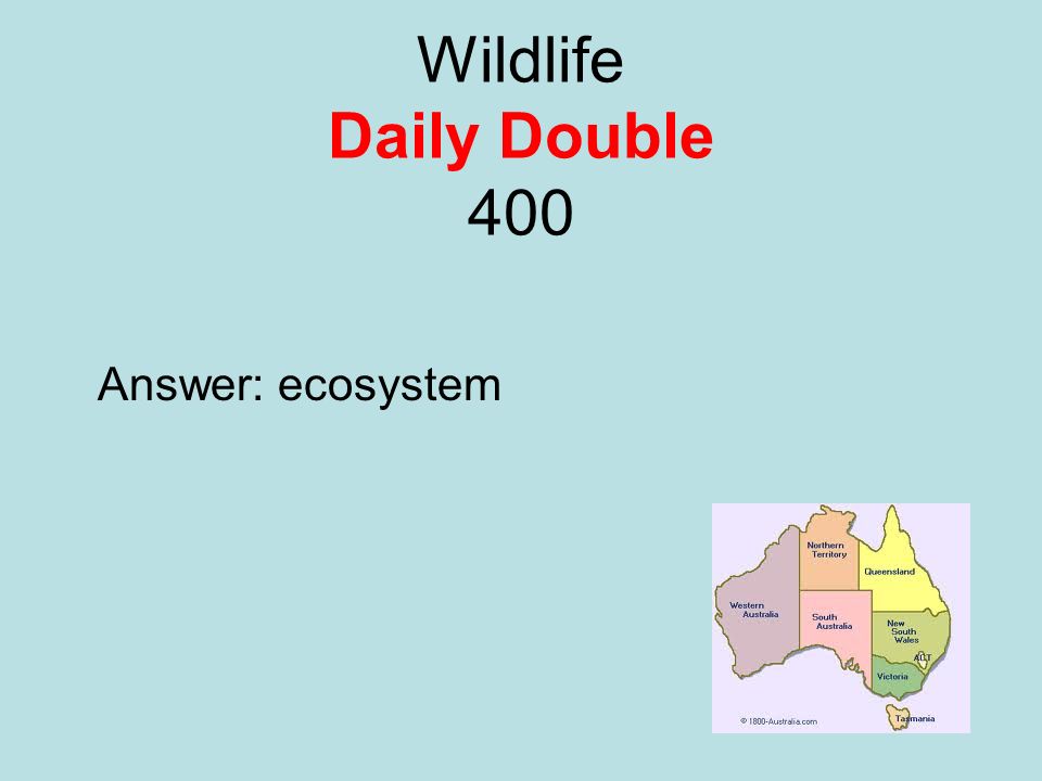 Wildlife Daily Double 400 Answer: ecosystem