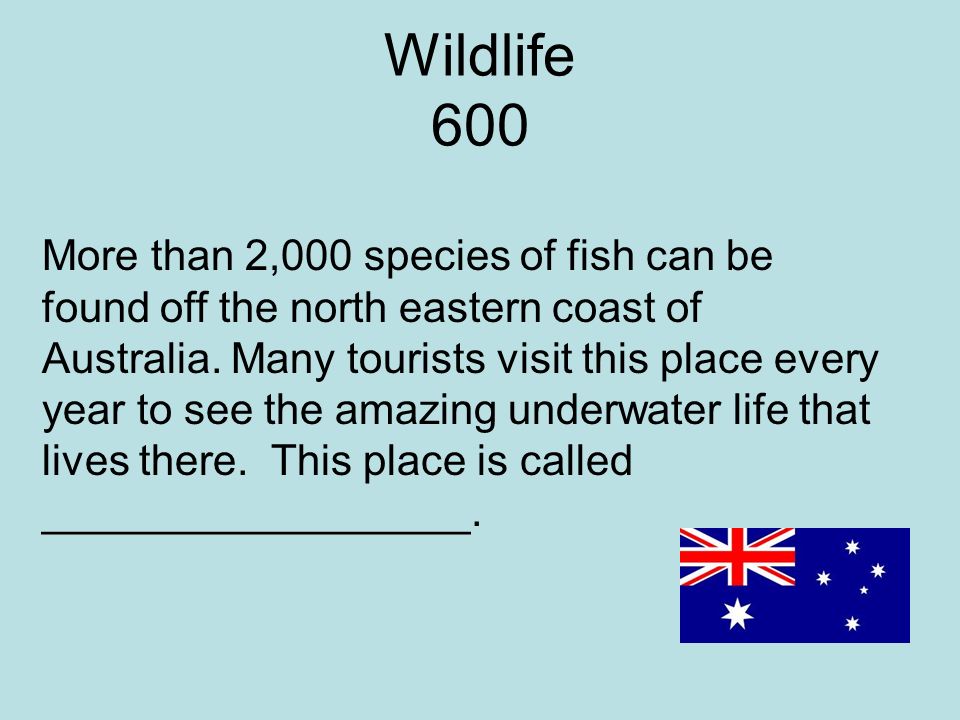 Wildlife 600 More than 2,000 species of fish can be found off the north eastern coast of Australia.