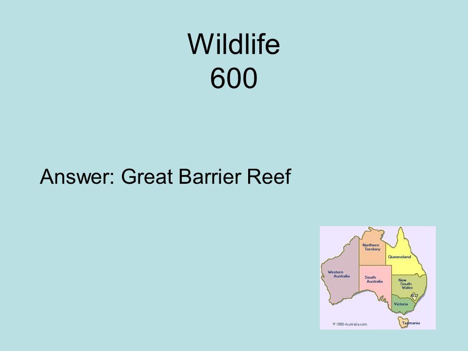 Wildlife 600 Answer: Great Barrier Reef