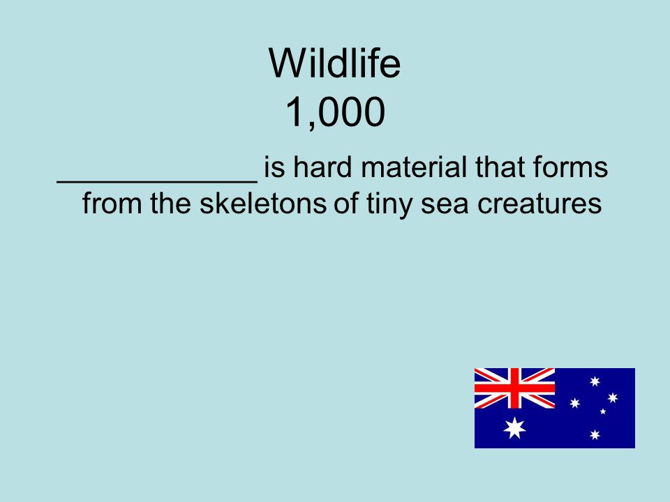 Wildlife 1,000 ____________ is hard material that forms from the skeletons of tiny sea creatures