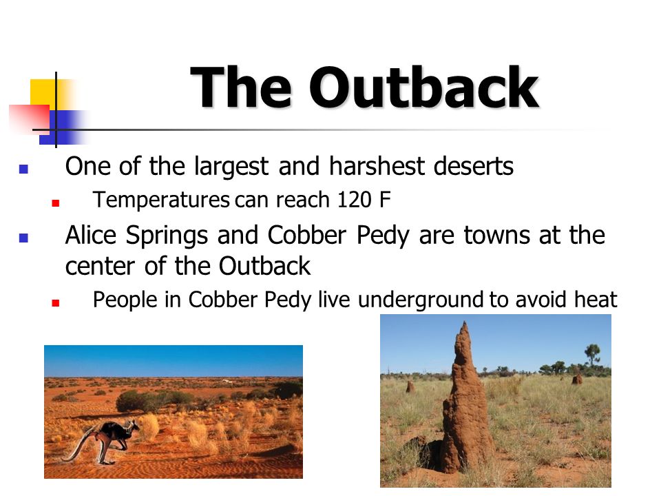 The Outback One of the largest and harshest deserts Temperatures can reach 120 F Alice Springs and Cobber Pedy are towns at the center of the Outback People in Cobber Pedy live underground to avoid heat