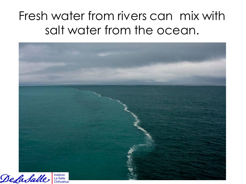 Fresh water from rivers can mix with salt water from the ocean.