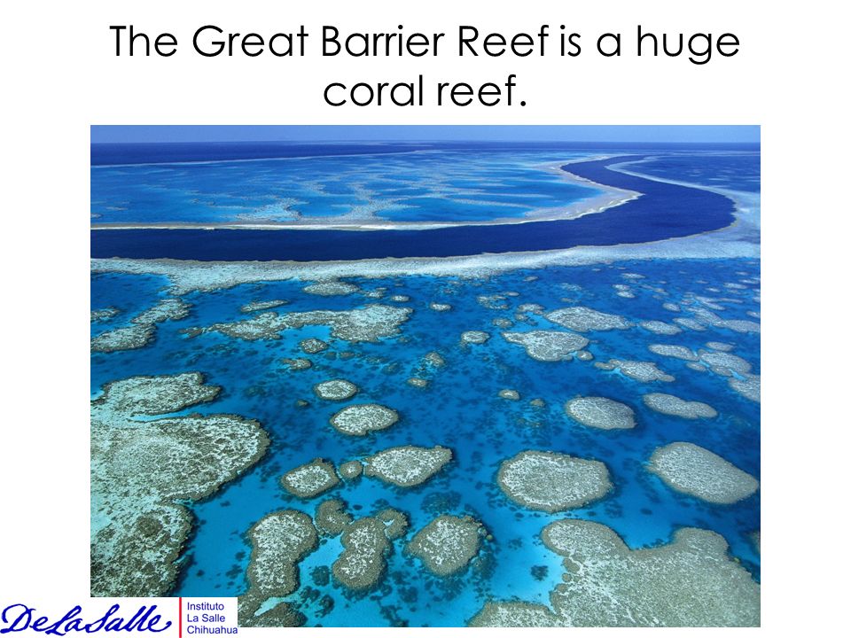 The Great Barrier Reef is a huge coral reef.