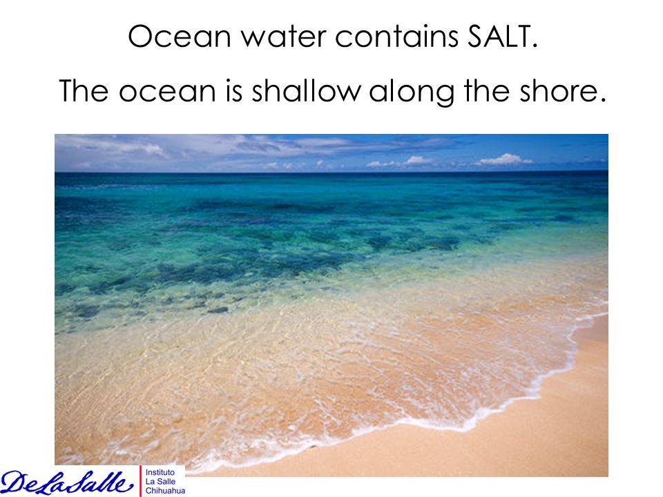 Ocean water contains SALT. The ocean is shallow along the shore.