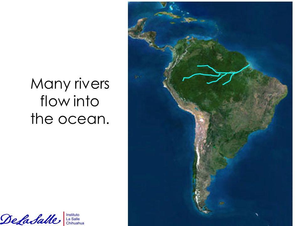 Many rivers flow into the ocean.