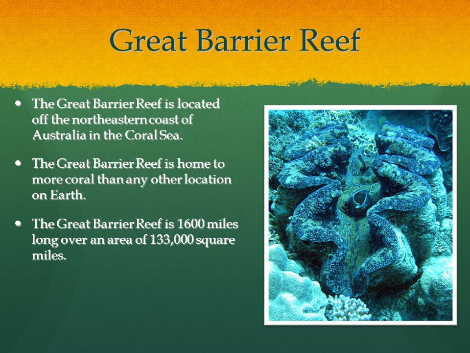 Great Barrier Reef The Great Barrier Reef is located off the northeastern coast of Australia in the Coral Sea.