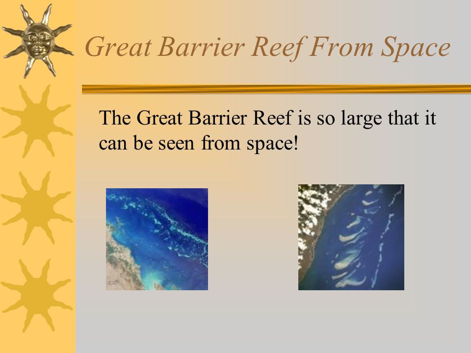 Great Barrier Reef From Space The Great Barrier Reef is so large that it can be seen from space!