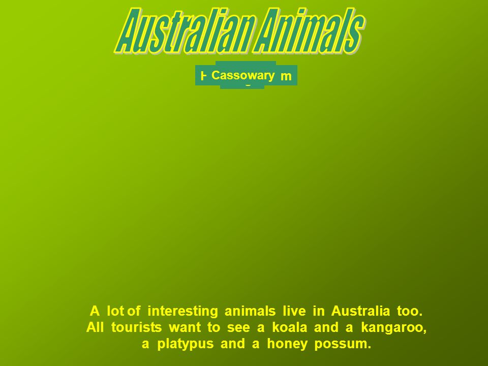 A lot of interesting animals live in Australia too.