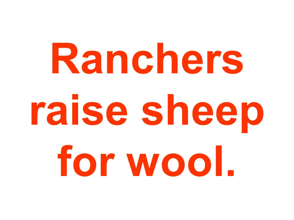 Ranchers raise sheep for wool.