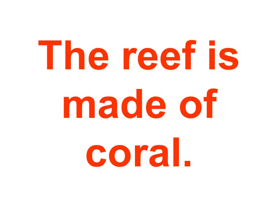 The reef is made of coral.