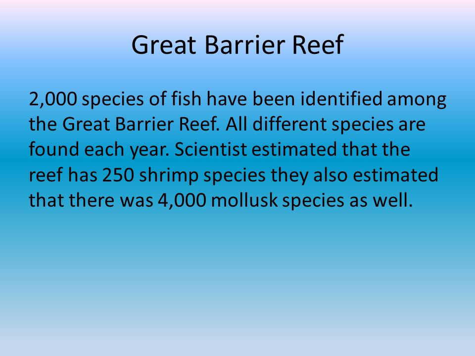 Great Barrier Reef 2,000 species of fish have been identified among the Great Barrier Reef.