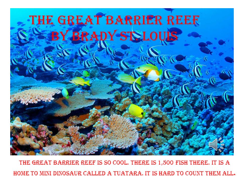 Great Barrier Reef by Avery Australia s Great Barrier Reef is made of coral.