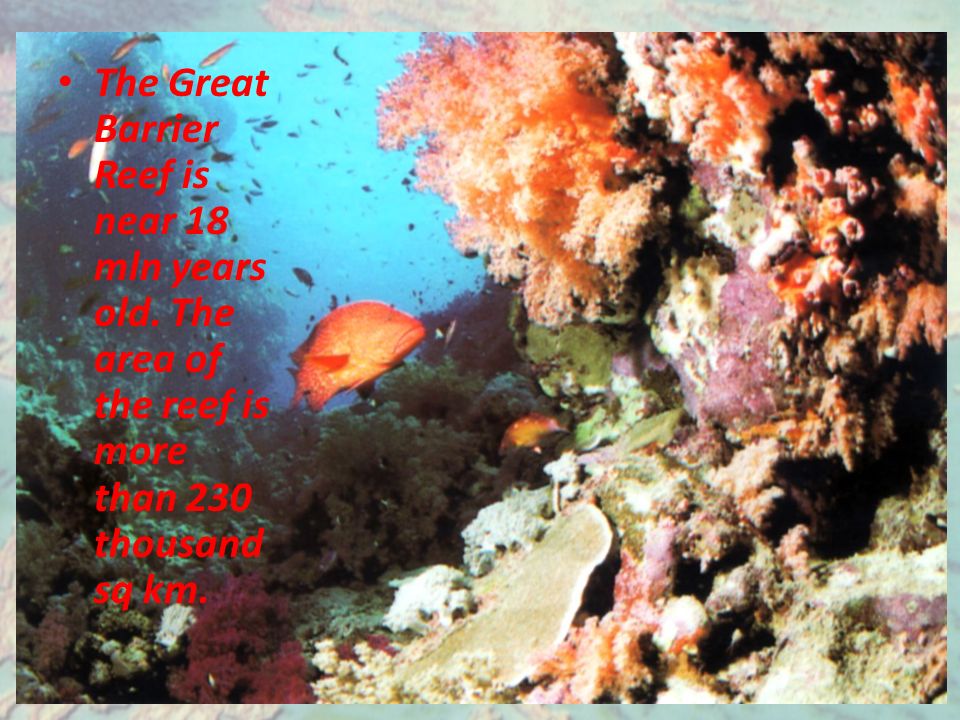 The Great Barrier Reef is near 18 mln years old.
