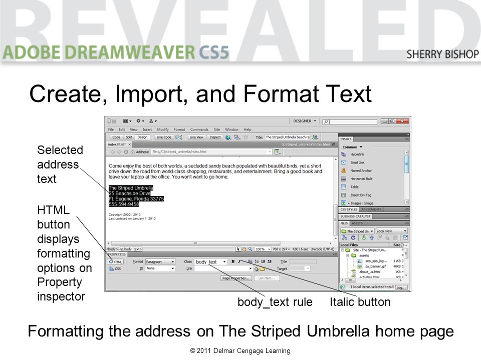 © 2011 Delmar Cengage Learning Create, Import, and Format Text Formatting the address on The Striped Umbrella home page Selected address text HTML button displays formatting options on Property inspector body_text ruleItalic button