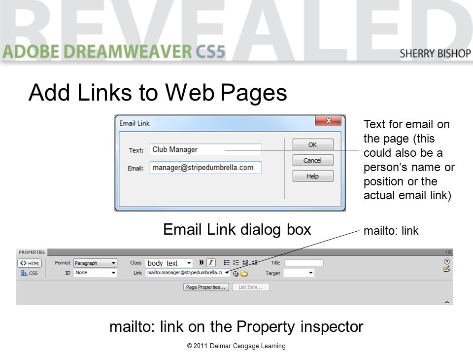 © 2011 Delmar Cengage Learning Add Links to Web Pages mailto: link on the Property inspector  Link dialog box mailto: link Text for  on the page (this could also be a person’s name or position or the actual  link)
