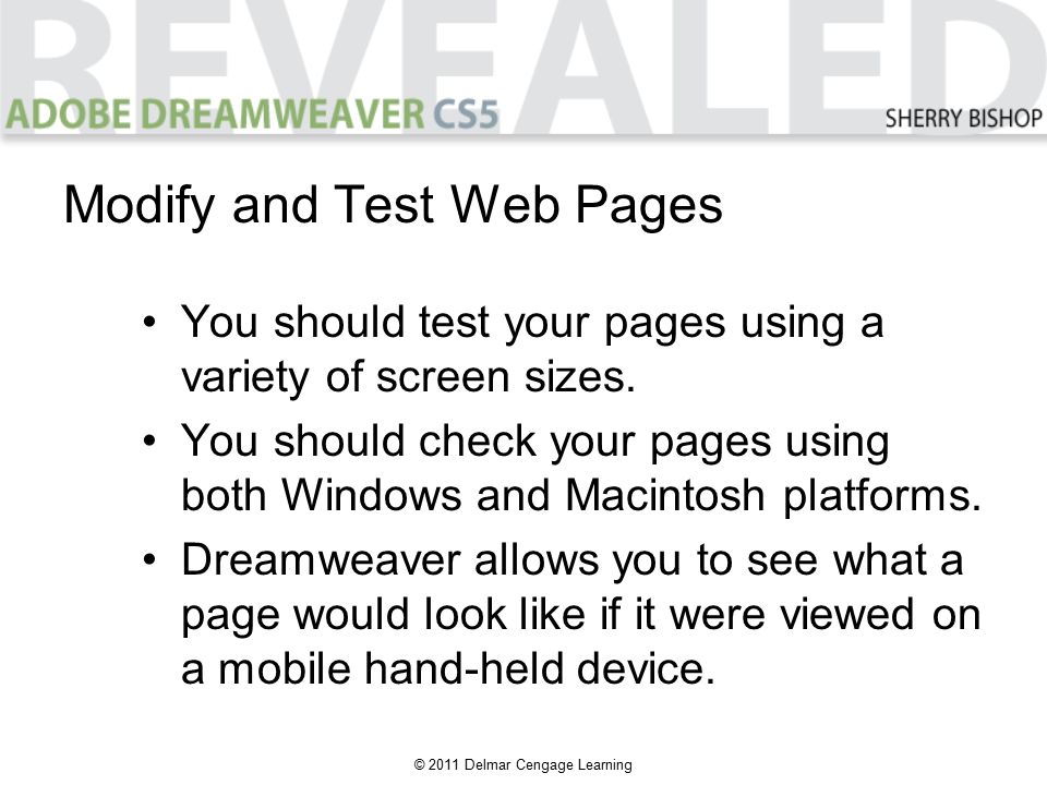 © 2011 Delmar Cengage Learning You should test your pages using a variety of screen sizes.
