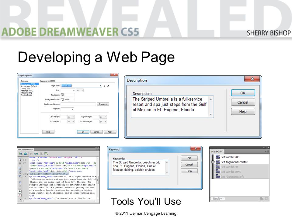© 2011 Delmar Cengage Learning Developing a Web Page Tools You’ll Use
